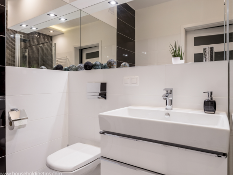 Bathroom Layout with Mirrored Wall