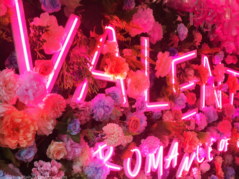 Decorating the Wall with Flowers